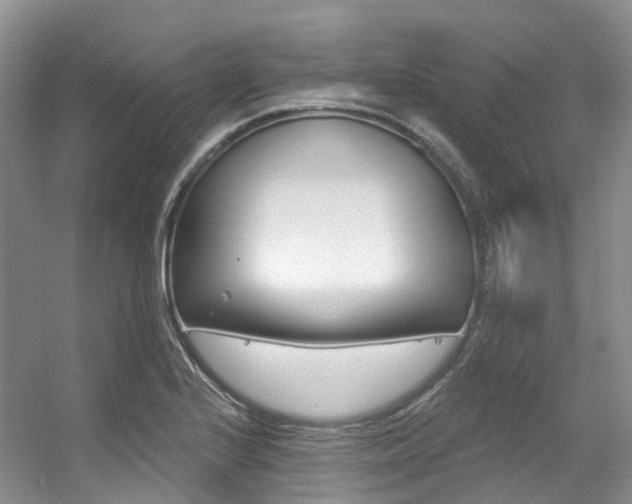 X0000056321224200508260842