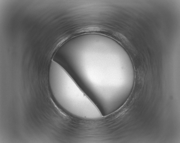 X0000056321225200508260842