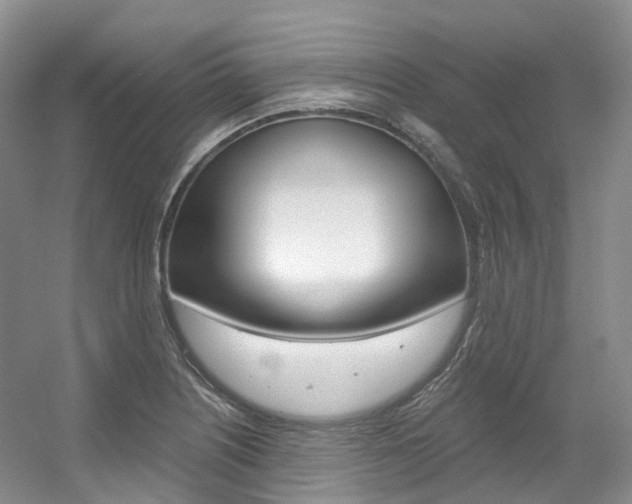 X0000056321226200508260842