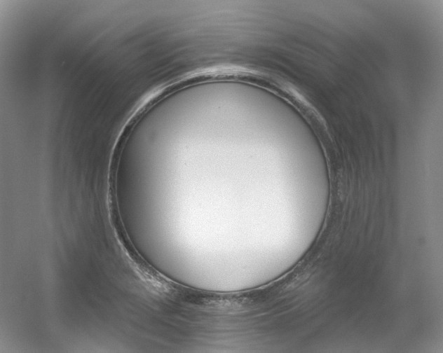 X0000056321229200508260842