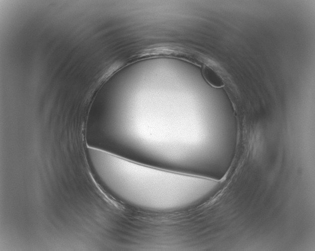 X0000056321233200508260842