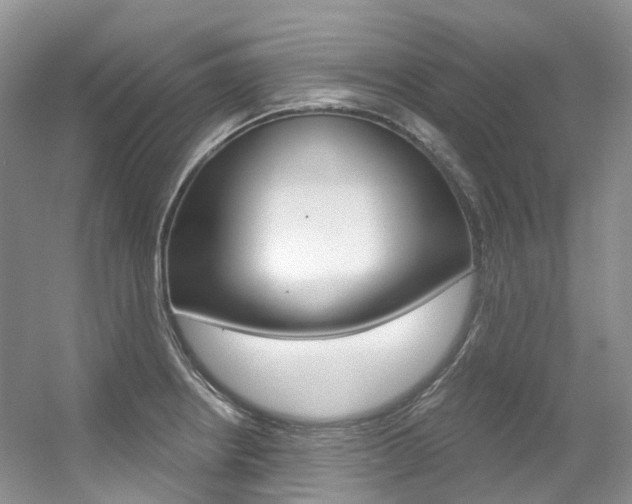 X0000056321234200508260842