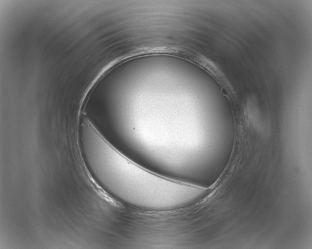 X0000056321236200508260842