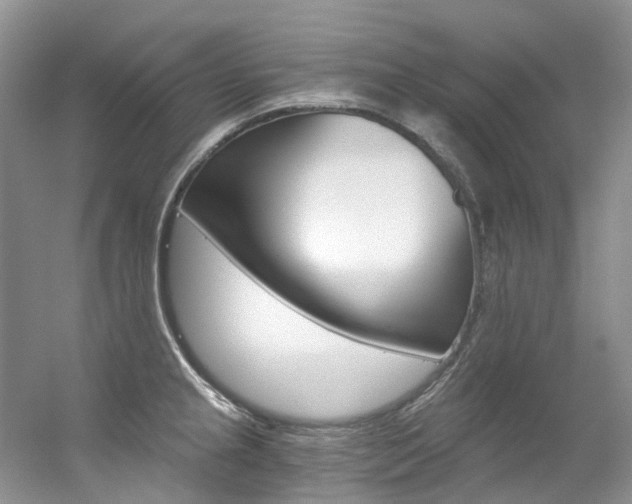 X0000056321237200508260842
