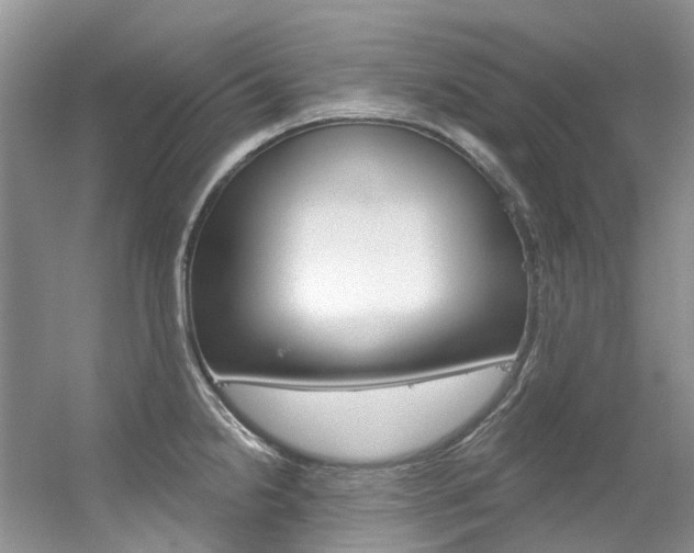 X0000056321238200508260842