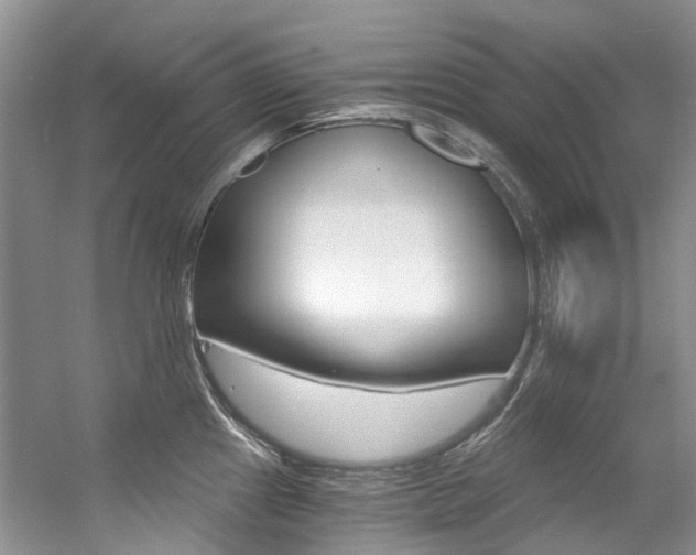 X0000056321241200508260842