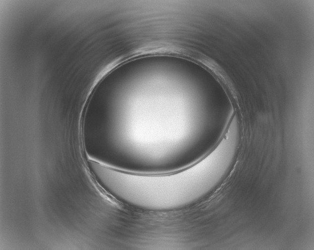 X0000056321242200508260842