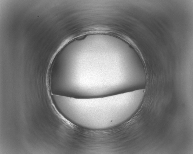 X0000056321243200508260842
