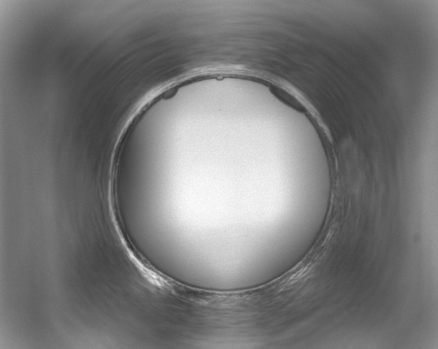 X0000056321245200508260843