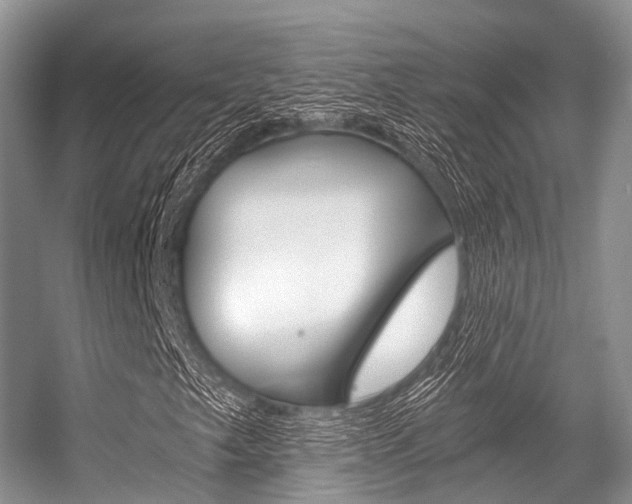X0000056321249200508260842
