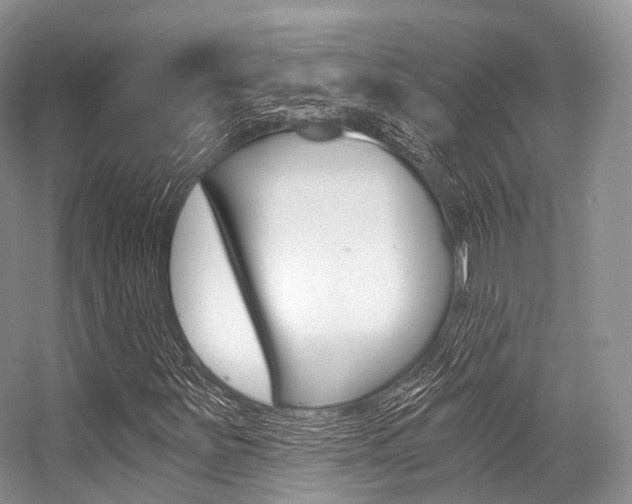 X0000056321251200508260842