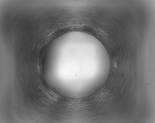 X0000056321252200508260842