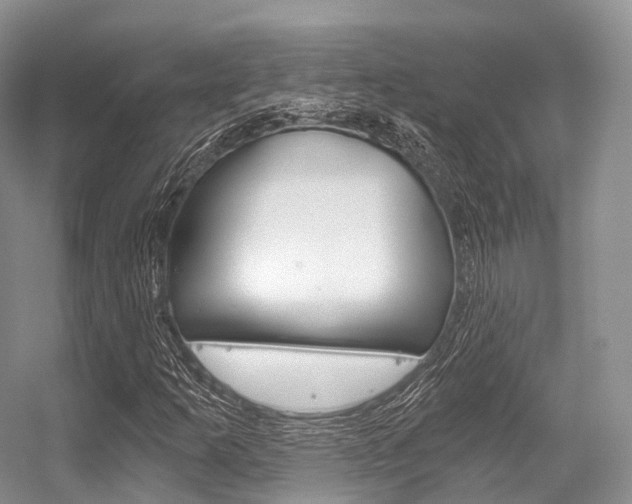X0000056321253200508260842
