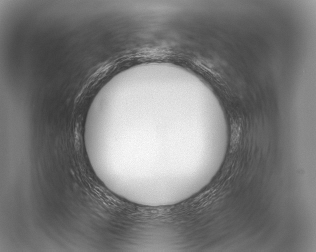 X0000056321254200508260842