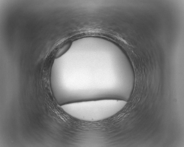 X0000056321255200508260842