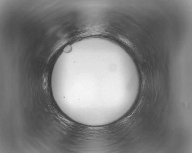 X0000056321258200508260842