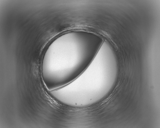 X0000056321260200508260842