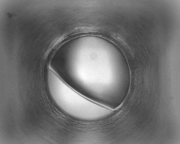 X0000056321261200508260842