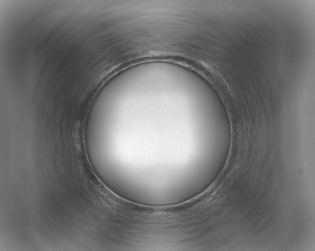 X0000056321265200508260841