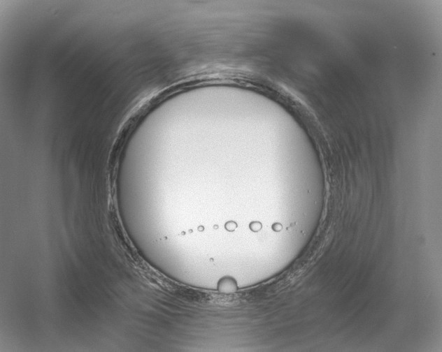 X0000056321267200508260841