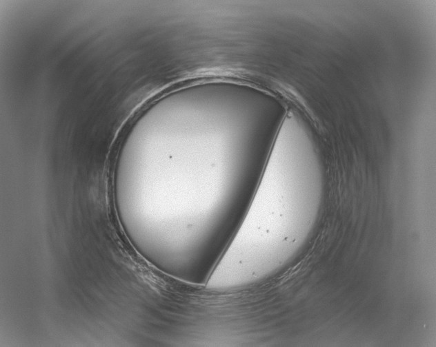 X0000056321268200508260841
