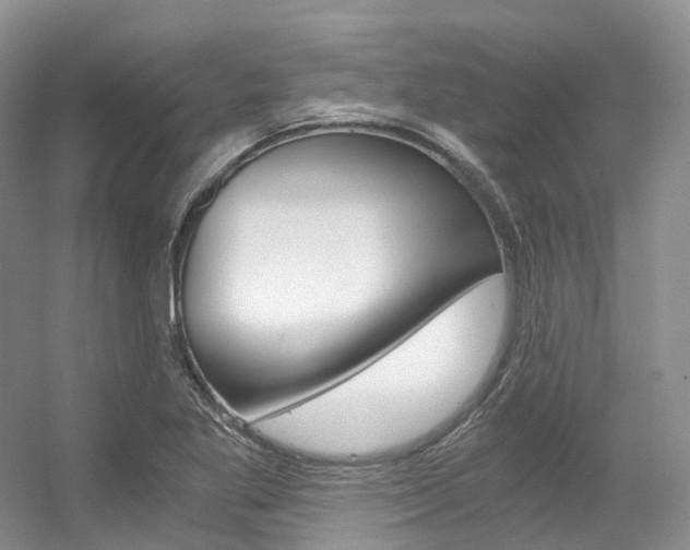 X0000056321269200508260841