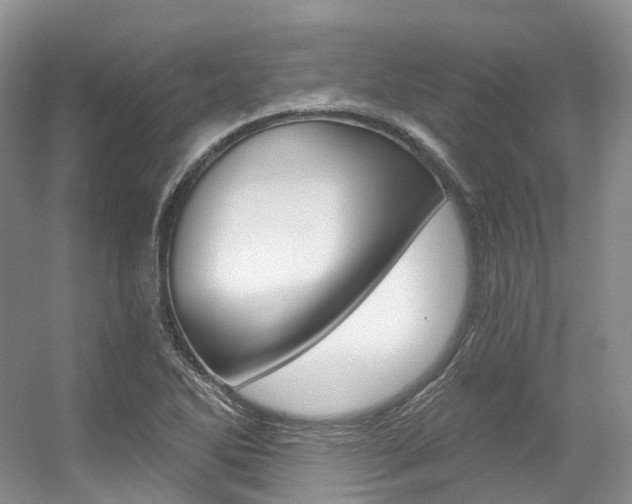 X0000056321270200508260841