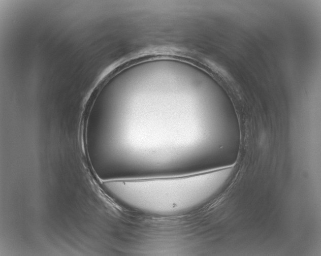X0000056321272200508260841