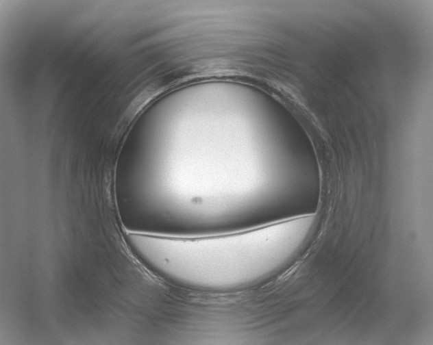 X0000056321273200508260841