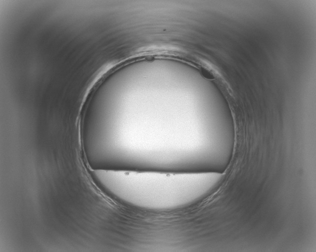 X0000056321275200508260841