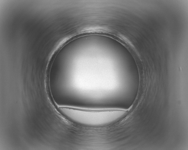X0000056321277200508260841