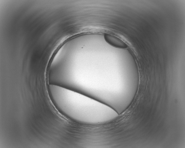 X0000056321283200508260841