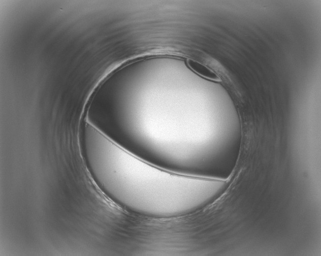 X0000056321284200508260841