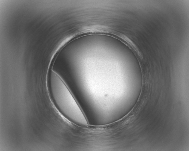 X0000056321285200508260841