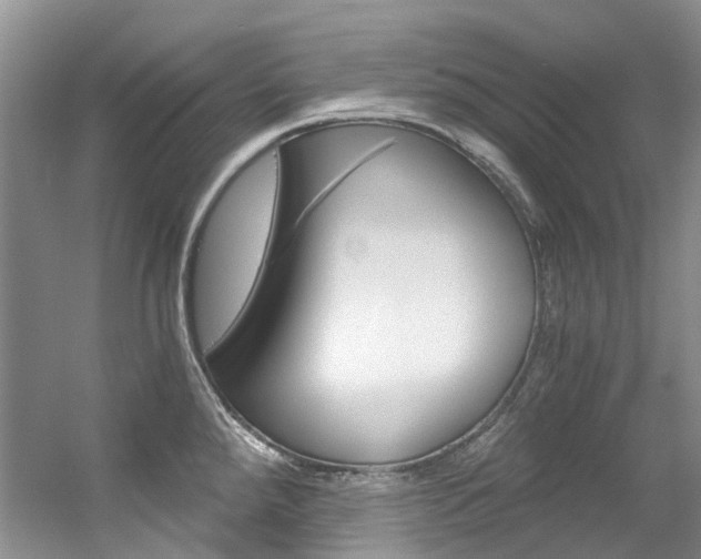 X0000056321288200508260841