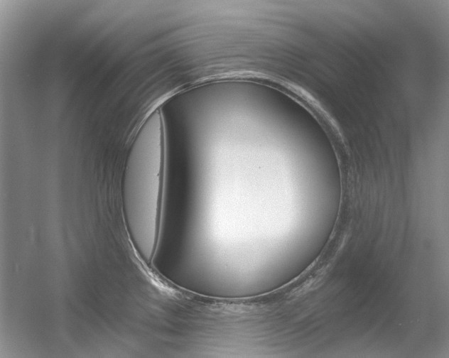 X0000056321289200508260841