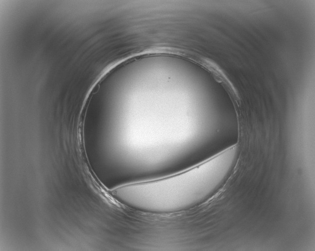 X0000056321292200508260841