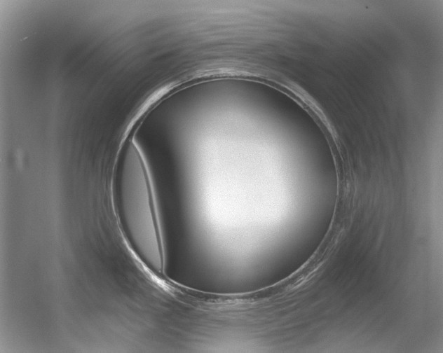 X0000056321293200508260841