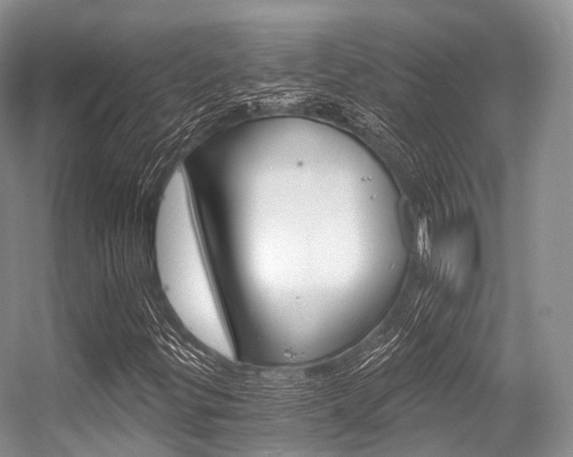X0000056321299200508260840