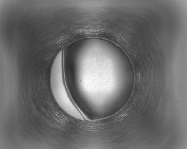 X0000056321300200508260840