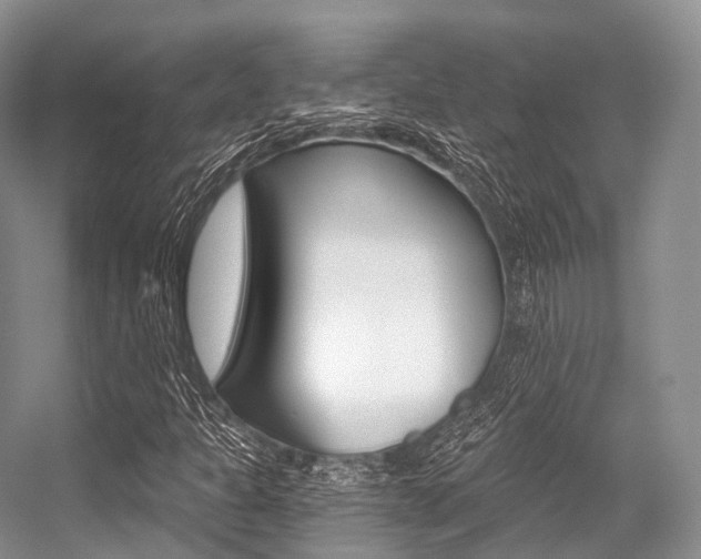 X0000056321301200508260840