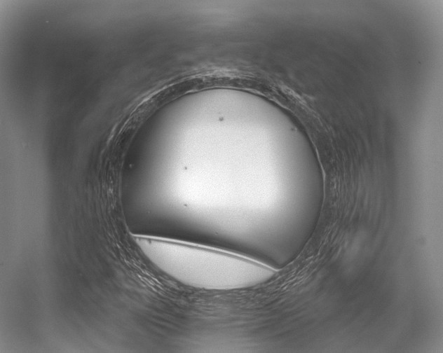 X0000056321303200508260840