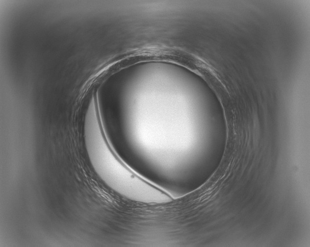 X0000056321304200508260840