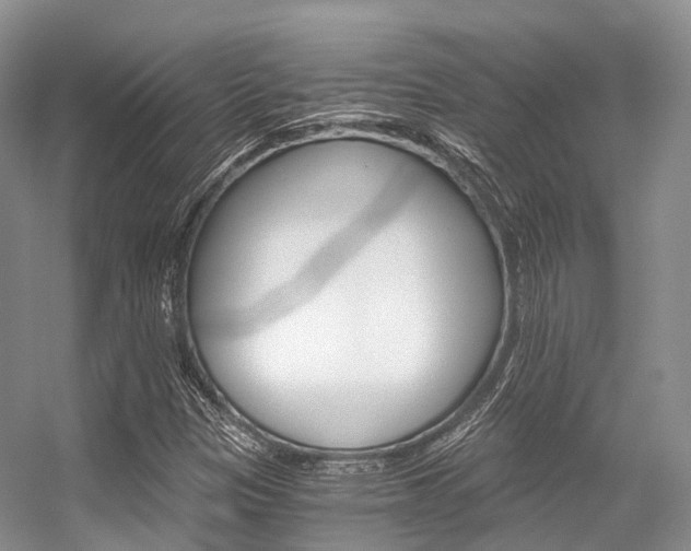 X0000056321305200508260840