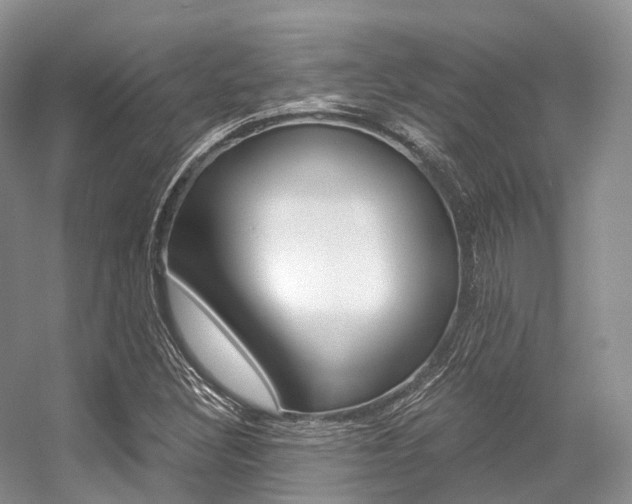 X0000056321308200508260840