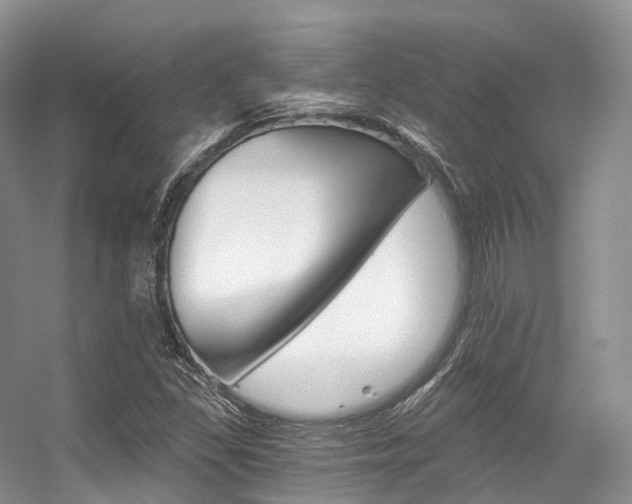 X0000056321309200508260840
