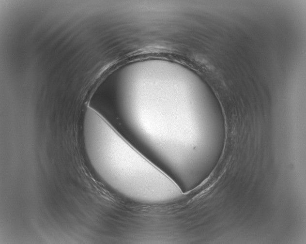X0000056321313200508260840