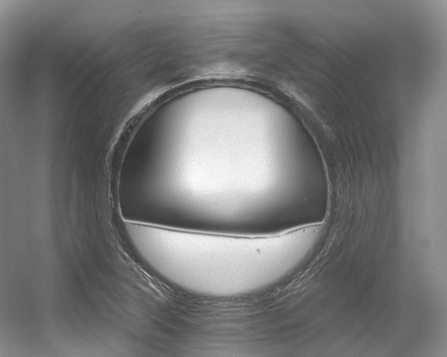 X0000056321315200508260840