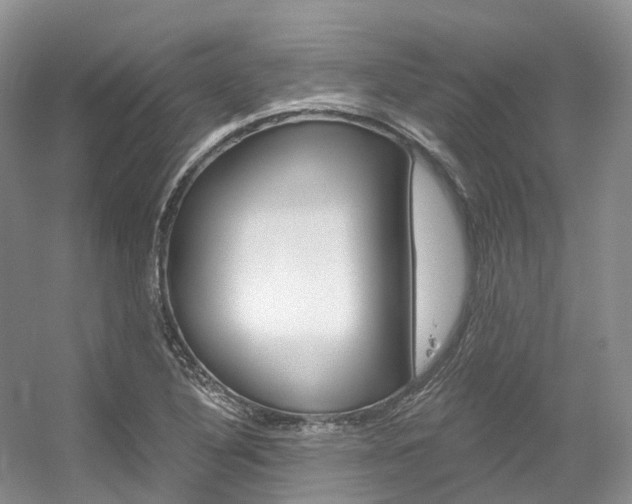 X0000056321316200508260840