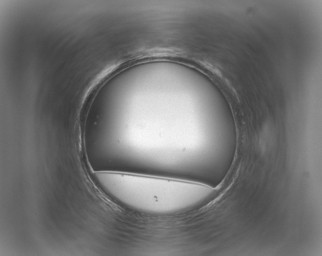 X0000056321317200508260840